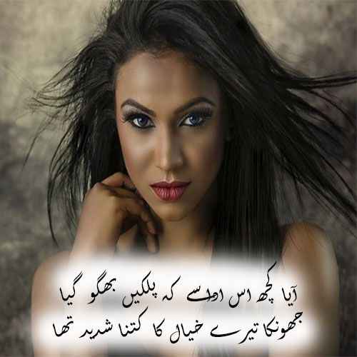 Aaya Kuch Is Adaa Se Ke Palkein Bheego Gaya