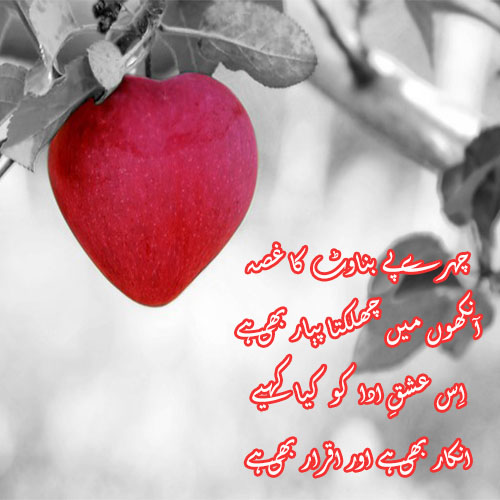 Chehre Pe Banawat Ka Gussa