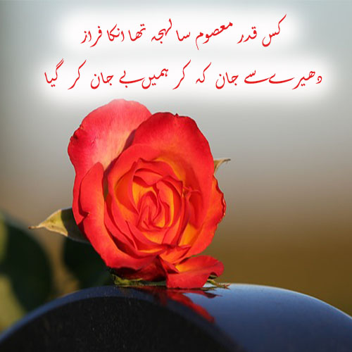 Izahar-e-Muhabat Shayari Status