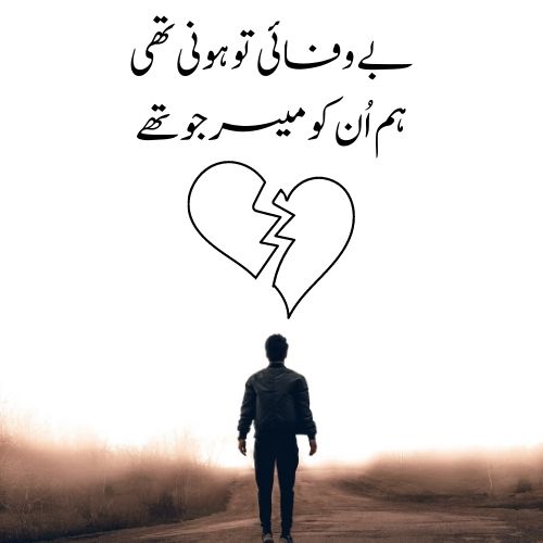 Bewafa Dost Poetry Status