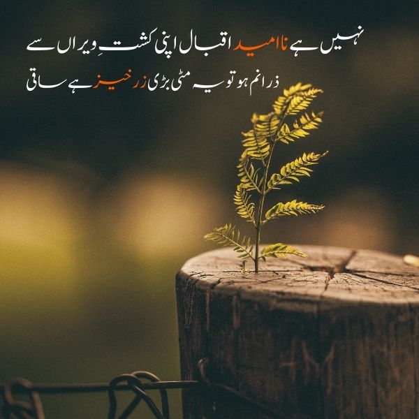 Students motivational poetry 2 lines