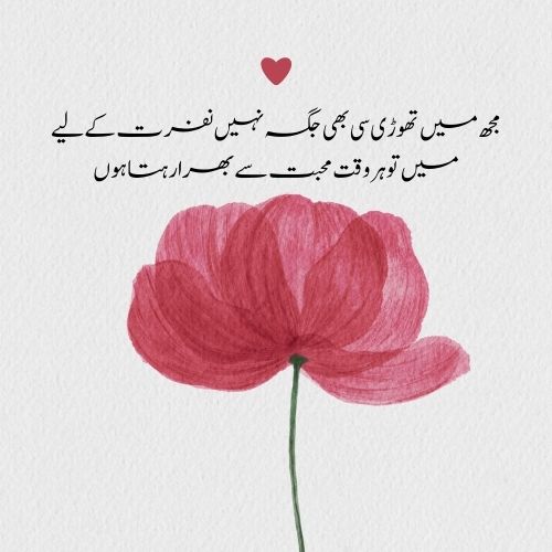 love poetry for haters