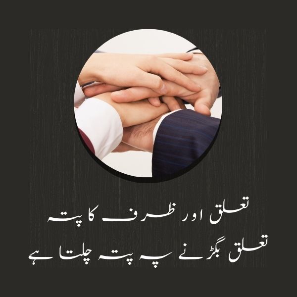 selfish fake log poetry urdu