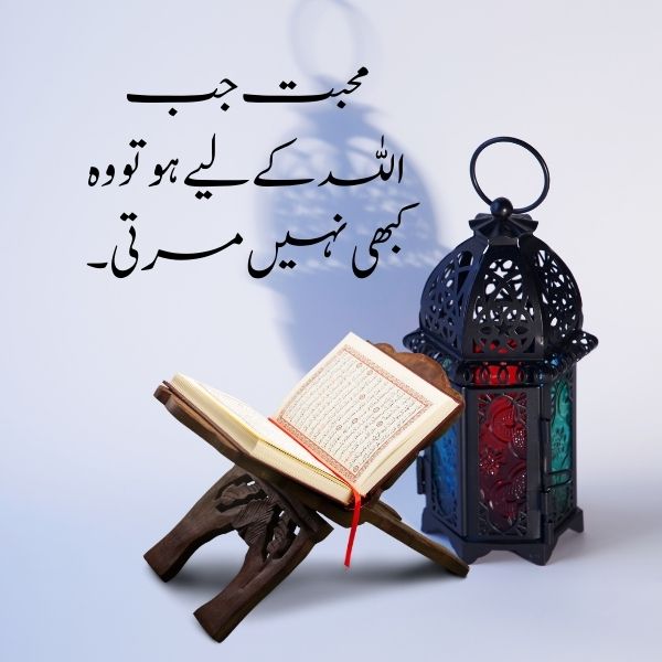 Allah Ki Muhabbat Quote