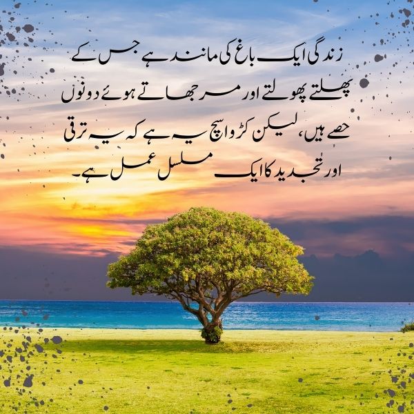 Zindagi ki haqeeqat quote