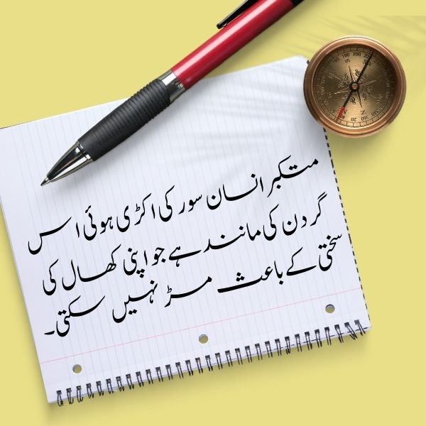 quotes in urdu about life reality