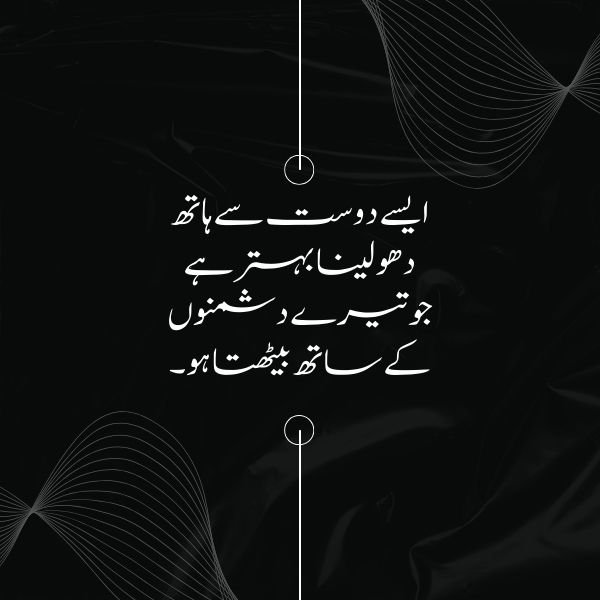 Best urdu quotes on friendship for instagram
