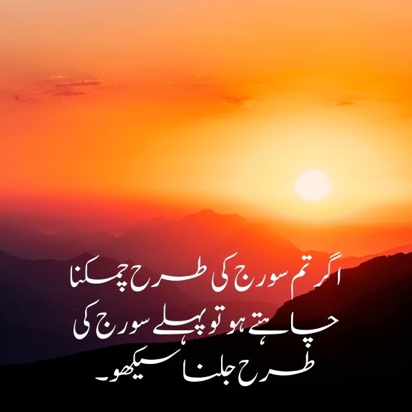 hard work quote for success in urdu
